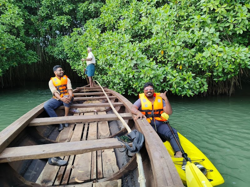 Mangrove view - Mangrove view Mangrove Vw Rd, Perumpuzha, Paravur, Kerala 691301, India