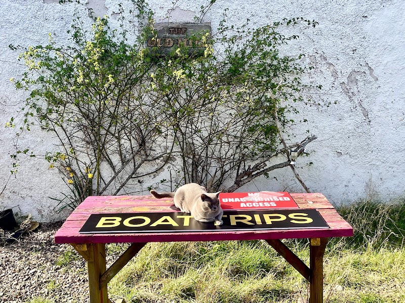 Loch Ness Rib Rides - Loch Ness Rib Rides, Dores Beach, Inverness IV2 6TR, UK