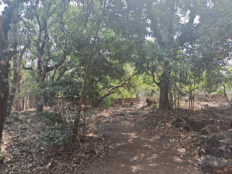 Acharekar House - Acharekar House X84C+6JX, Phansop Rd, Ambeshet, Phansop, Kolambe, Maharashtra 415612, India