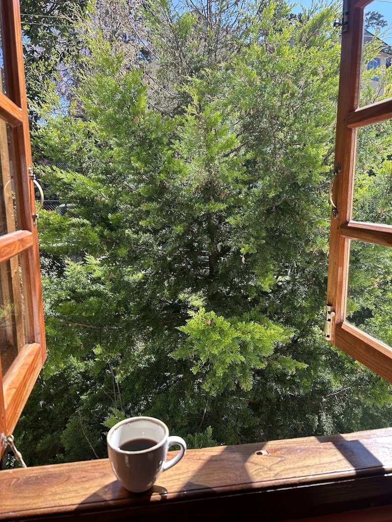 Apple Cherry Pine Green Homestay - Apple Cherry Pine Green Homestay Lane1, Risa Colony, Wahdienglieng, Malki, Shillong, Meghalaya 793003, India