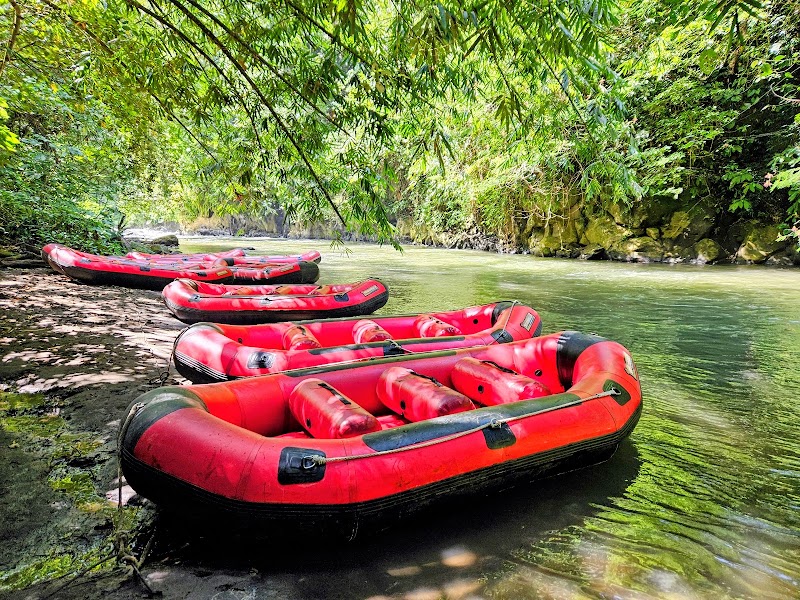Bali Tarantula Adventure - ATV , RAFTING AND SWING - Bali Tarantula Adventure - ATV , RAFTING AND SWING Bongkasa Pertiwi, Abiansemal, Badung Regency, Bali, Indonesia