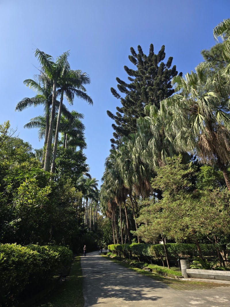 植物園和平西路圓環 - 植物園和平西路圓環 Section 2, Heping W Rd, Zhongzheng District, Taipei City, Taiwan 100