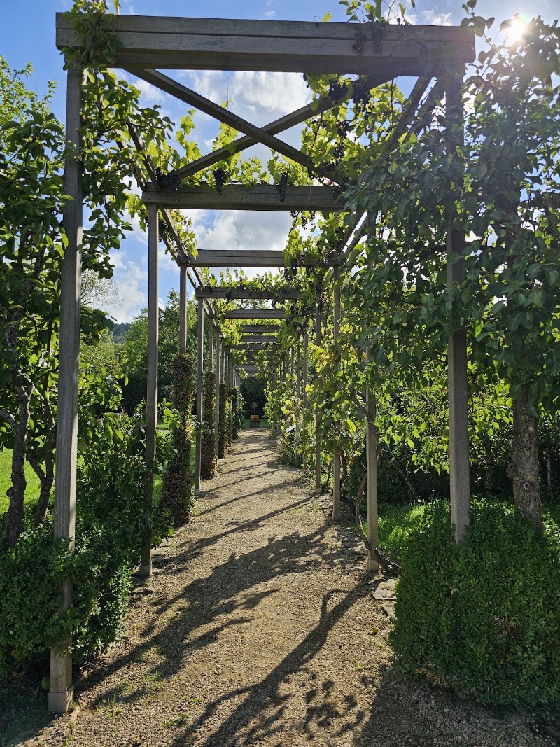 Roman Villa Echternach - Roman Villa Echternach, 47 Rue des Romains, 6478 Echternach, Luxembourg