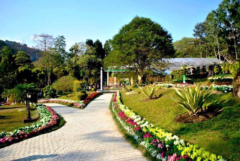 Saramsa Garden - Saramsa Garden 7HGV+RWX, Sikkim 737135, India