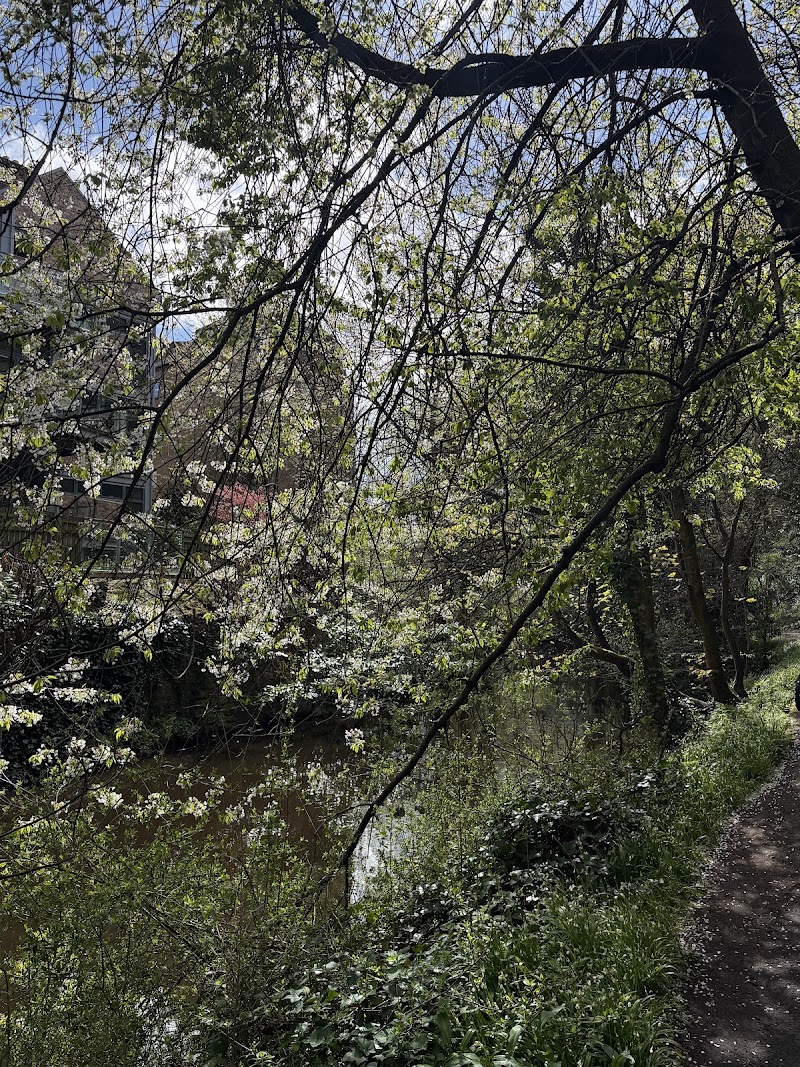 Dean Village – Riverside Hamlet & Water of Leith Walk - Dean Village – Riverside Hamlet & Water of Leith Walk, 2 Dean Path, Edinburgh EH3 7UA, UK