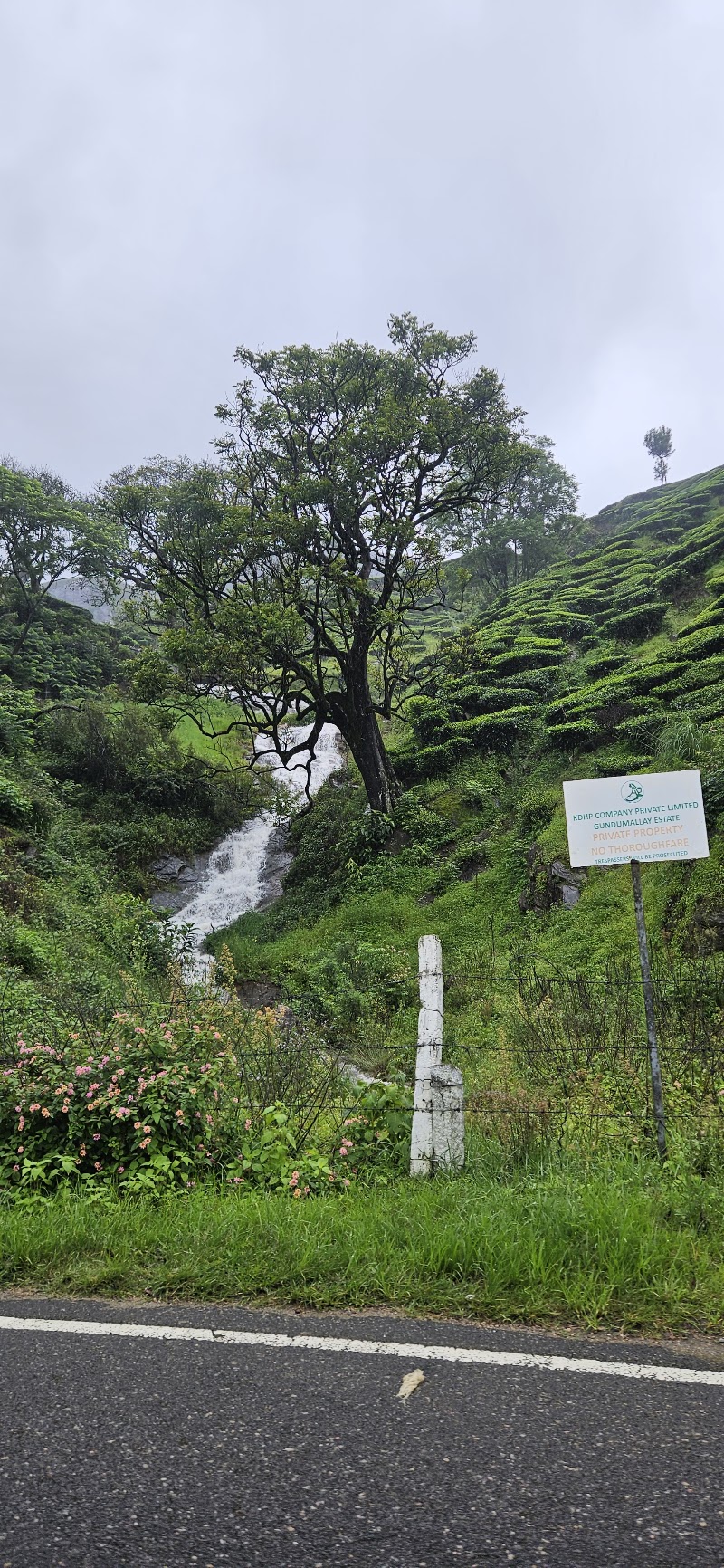 Tea plantation View point - Tea plantation View point 33F4+GQ, Kannan Devan Hills, Kerala 685612, India