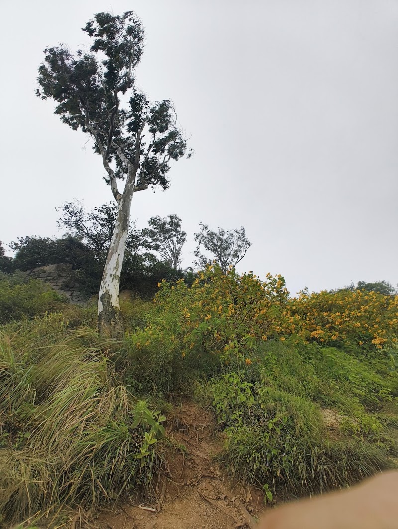 Nandi hills - Nandi hills Nandi Hills, Manivartapete, Sultanpete, Bengaluru, Karnataka 560053, India