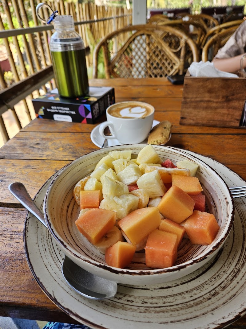 Ton‘s Café and Staycation ( Taste of Nature ) - Ton‘s Café and Staycation ( Taste of Nature ) 225G+3R7, Ourem Rd, Mohanbagh, Palolem, Canacona, Goa 403702, India