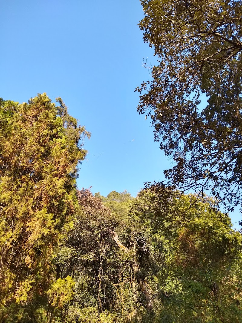 Saattal Park - Saattal Park 9G3H+479, Sattal, Bhowali Range, Uttarakhand 263127, India
