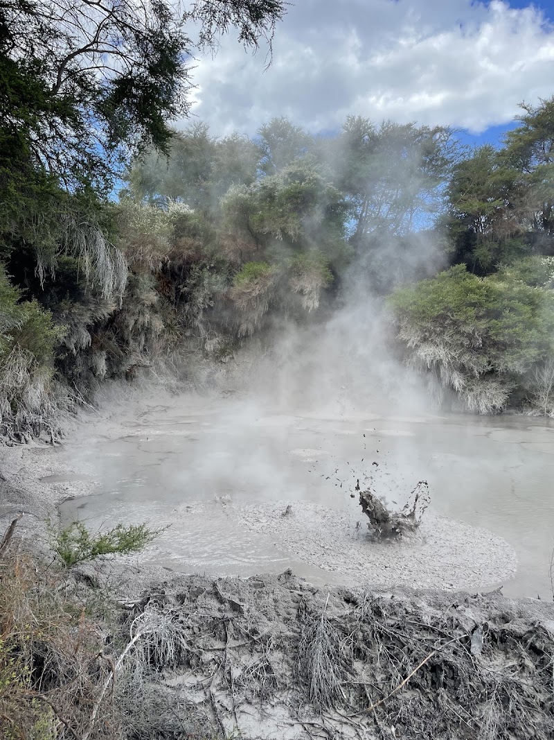 Kuirau Park - Mud Pools - Kuirau Park - Mud Pools Kuirau Street, Rotorua 3010, New Zealand