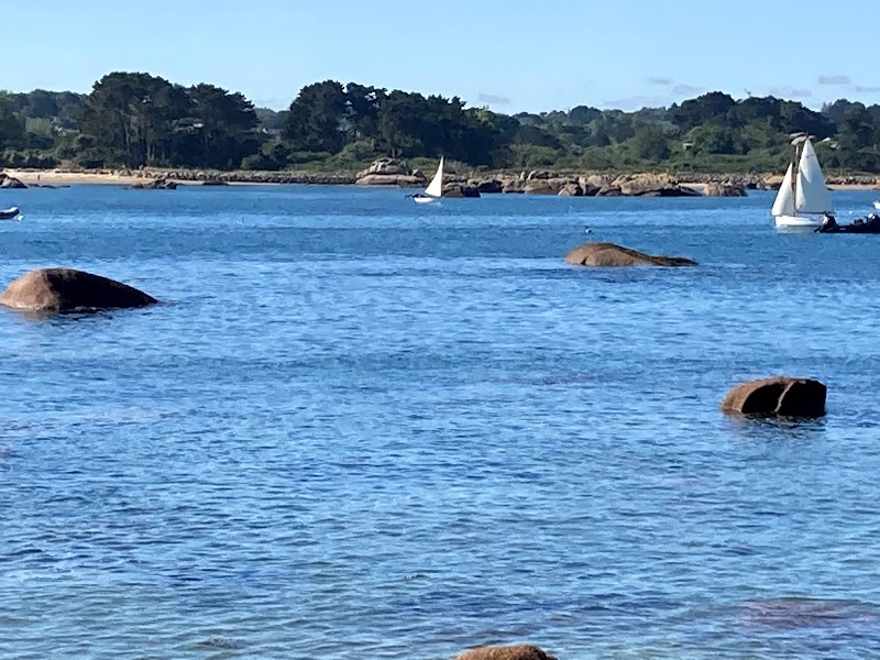 Pointe de l'Ile Renote - Pointe de l'Ile Renote, Trégastel, France