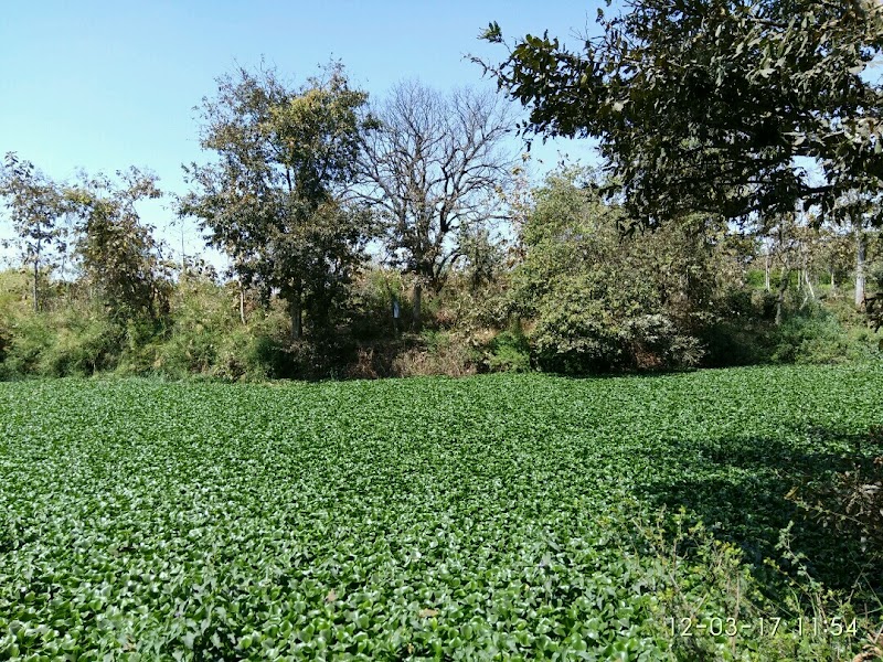 Nagpur - Nagpur, Maharashtra, India