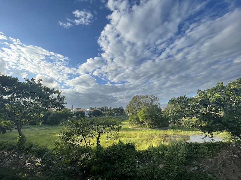 Mesthripalya Lake - Mesthripalya Lake E type Quarters, 1st A cross Rd, 4th Block, Koramangala, Bengaluru, Karnataka 560034, India