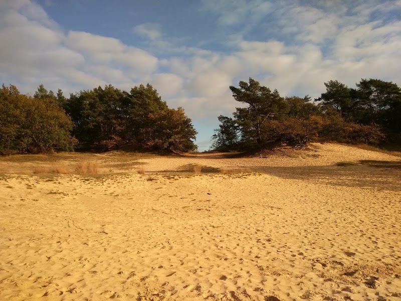 The Loonse and Drunense Duinen National Park - The Loonse and Drunense Duinen National Park, 5151 RG Drunen, Netherlands