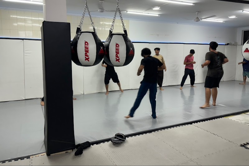 The Fight Tribe - The Fight Tribe, U 13, basement, Block U, Green Park, New Delhi, Delhi 110016, India
