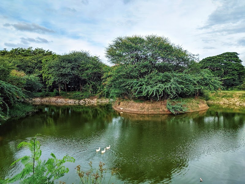 Hennuru kere Bio-diversity Park - Hennuru kere Bio-diversity Park Kumarakrupa Rd, HBR Layout 5th Block, High Grounds, Seshadripuram, Bengaluru, Karnataka 560043, India
