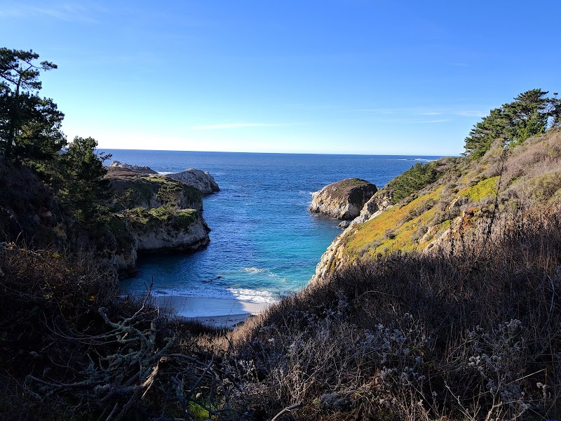Point Lobos State Natural Reserve - Point Lobos State Natural Reserve Carmel-By-The-Sea, CA 93923, USA