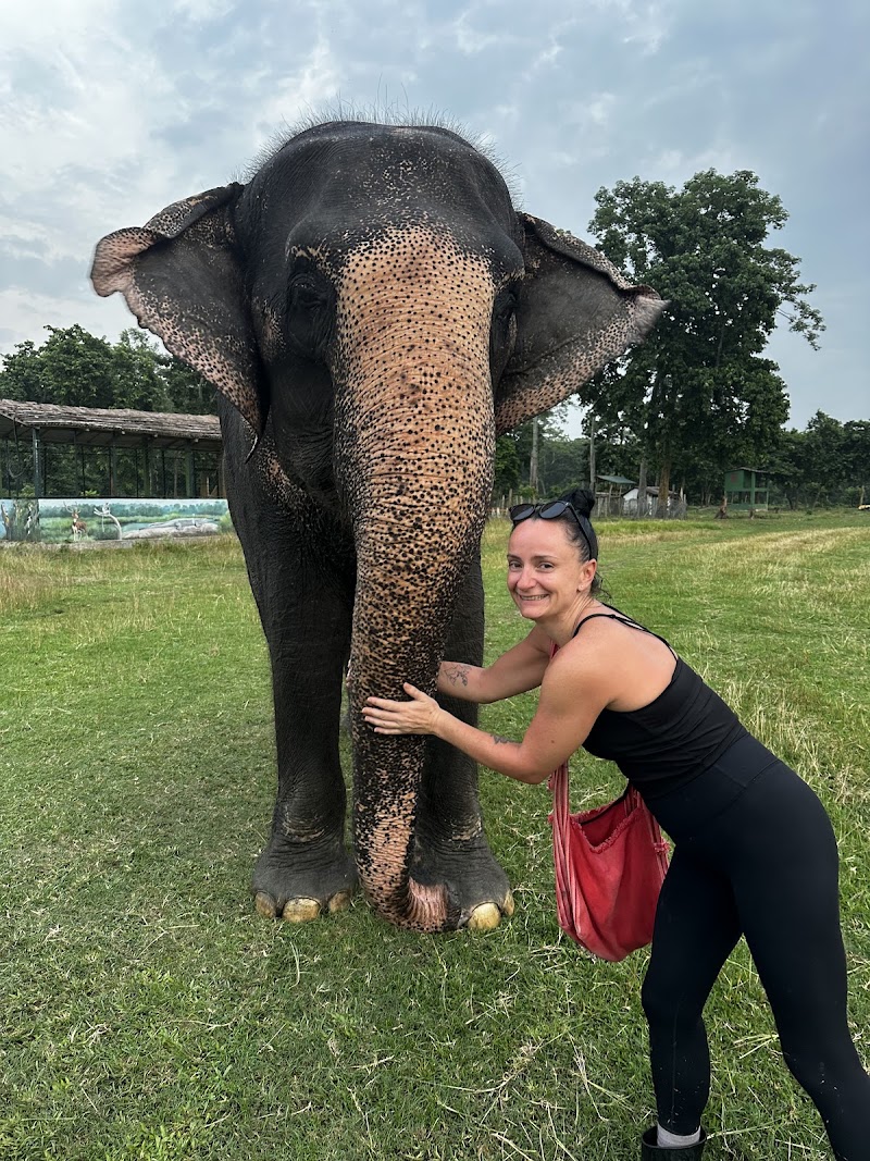 Elephant Care Nepal - Elephant Care Nepal Baadreni Road, Ratnanagar 44200, Nepal