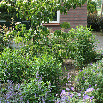 Bed en Breakfast Heg en Steg - Bed en Breakfast Heg en Steg, Amersfoortseweg 63, 3864 NB Nijkerkerveen, Netherlands