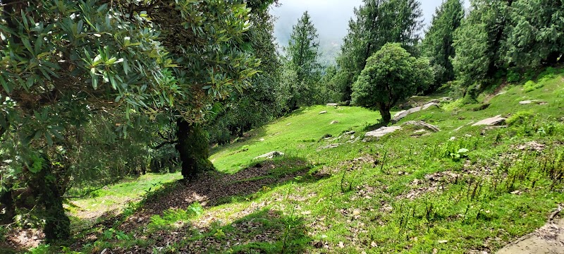 Nohradhar - Nohradhar, Himachal Pradesh 173104, India