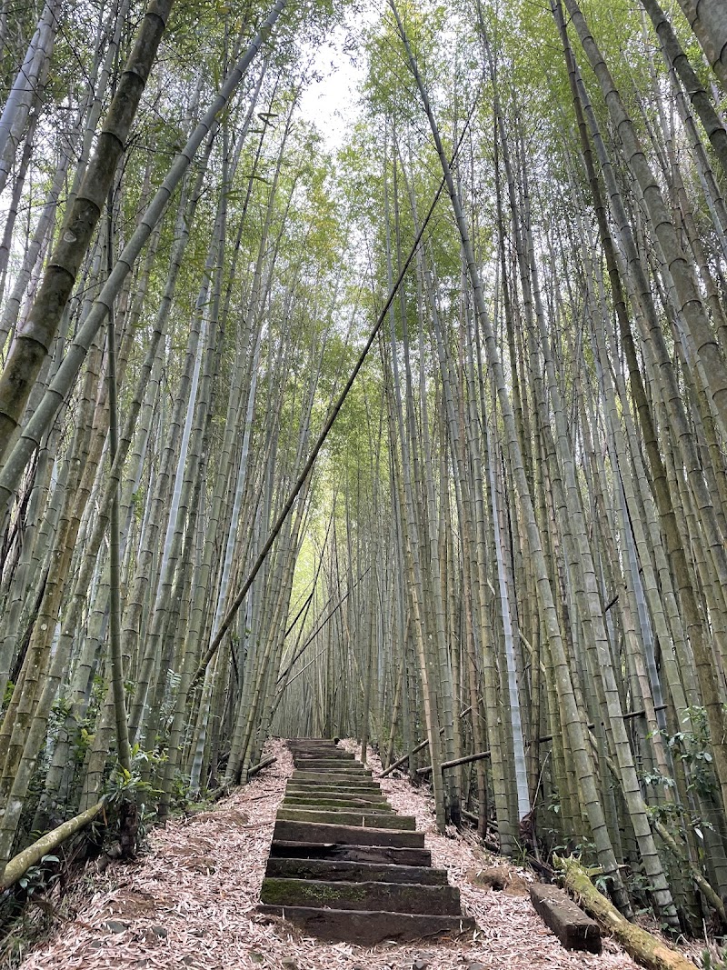 雲之道步道南口 - 雲之道步道南口 Zhonghe Village, Zhuqi Township, Chiayi County, Taiwan 604