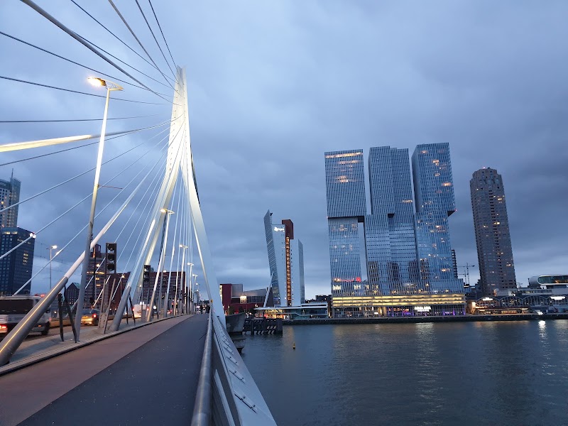 Erasmusbrug - Erasmusbrug Erasmusbrug, 3011 BN Rotterdam, Netherlands