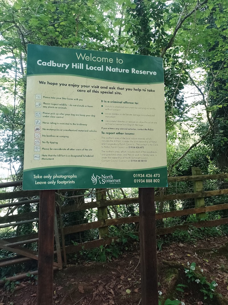Cadbury Hill Fort - Cadbury Hill Fort, Congresbury, Bristol BS49 5AH, UK