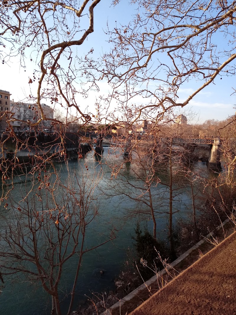 River Tiber - River Tiber, Italy