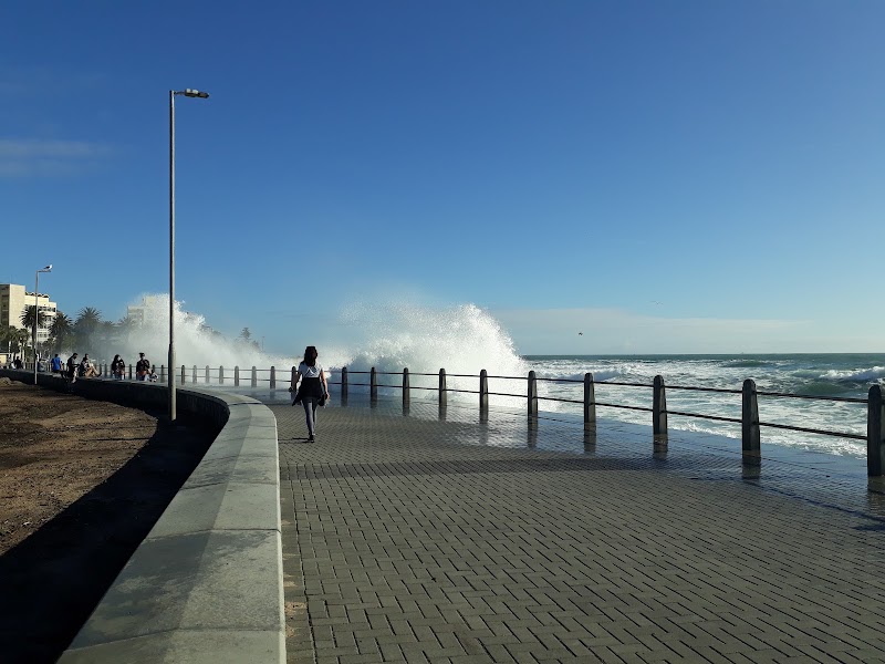 Sea Point Promenade - Sea Point Promenade, Sea Point, Cape Town, 8005, South Africa