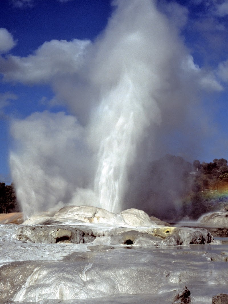 Pohutu Geyser