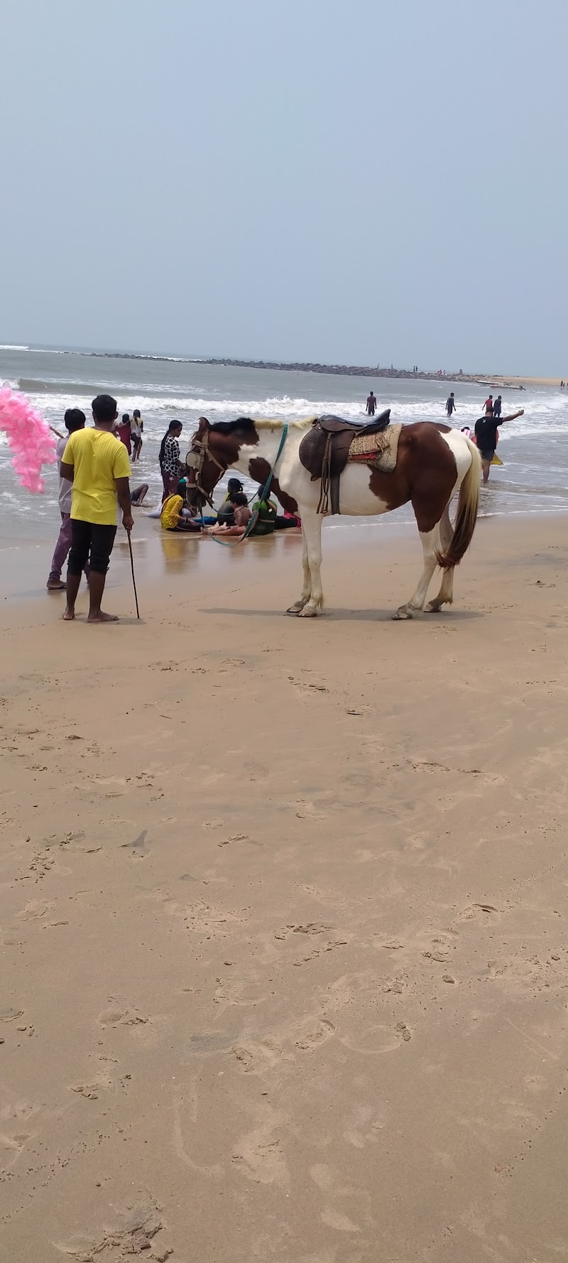 Rushikonda Beach - Rushikonda Beach, Bheemili, Q9JP+J29, Road, Rushikonda, Andhra Pradesh 530045, India