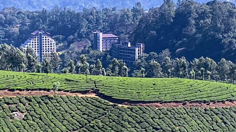 Pallivasal - Pallivasal, Keralam, India