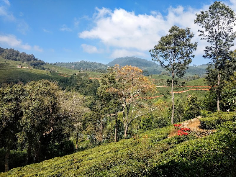 Kotagiri - Kotagiri Kotagiri, Tamil Nadu, India