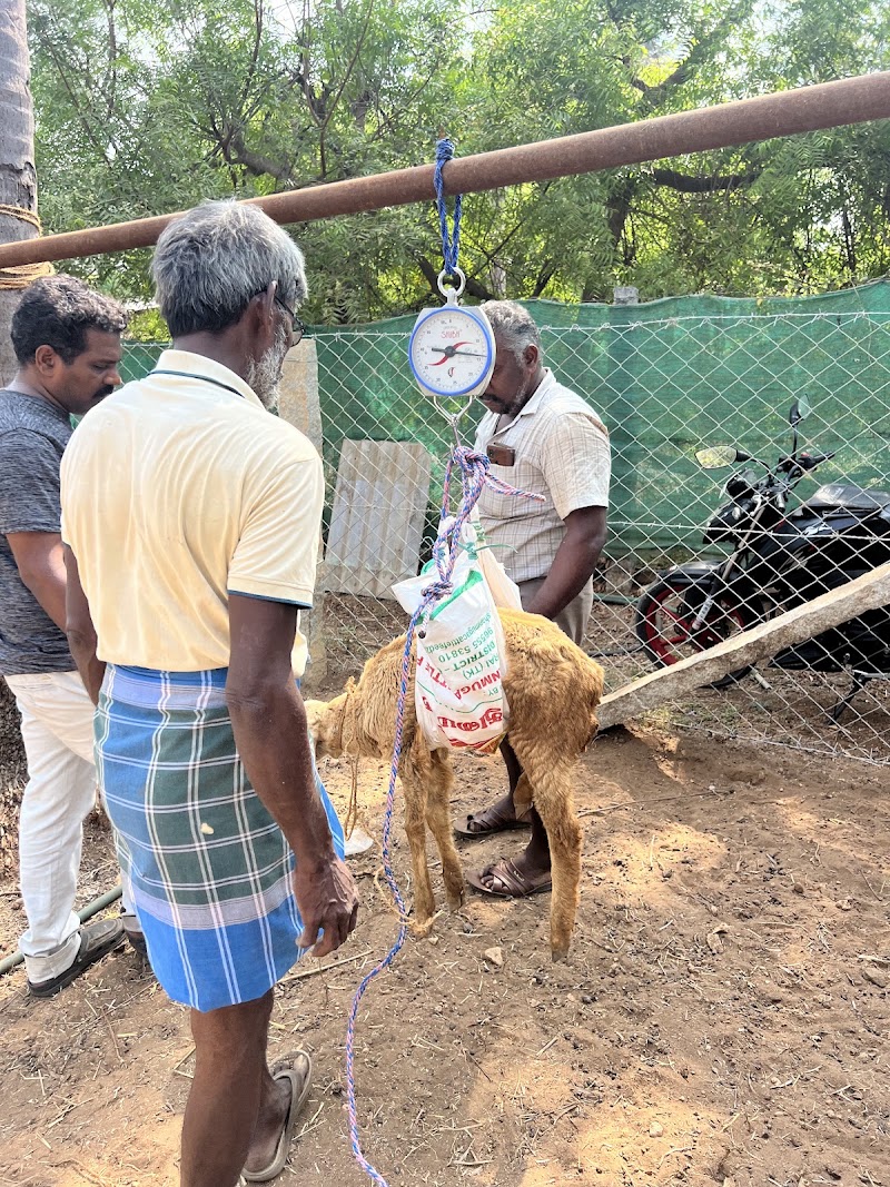 The Fat Lamb Co. - The Fat Lamb Co., Nadar Colony, Kompanaipudur, Kolathupalayam, Tamil Nadu 638152, India