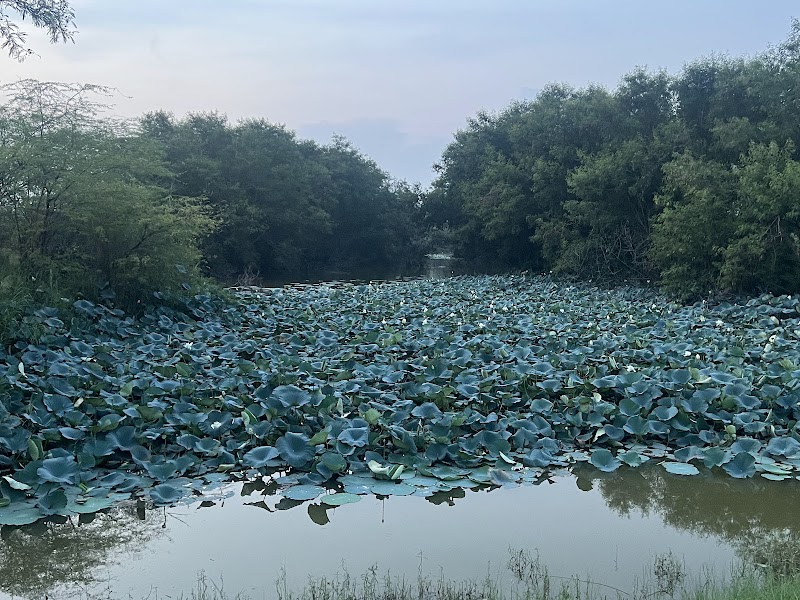 Garden of Silence - Garden of Silence 5, Lake Walking Way, Kishangarh, Chandigarh, 160001, India