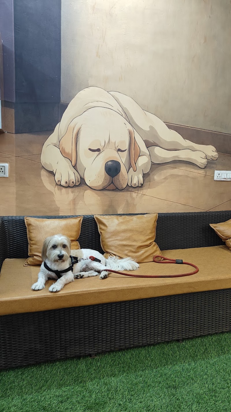 Zupy's Den | Premium Pet Retreat - Zupy's Den | Premium Pet Retreat, Zupy's Den, Dolphins Farm House Doomartalab, 236/8 & 236/13, Amanaka Thana Rd, near India Oil petrol pump, Amanaka, Raipur, Chhattisgarh 492099, India