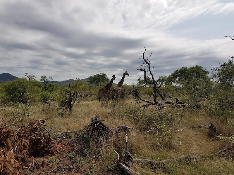 Selati Game Reserve - Selati Game Reserve, Kruger Park, South Africa