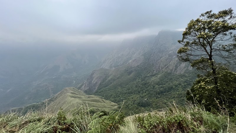 Top Station View Point - Top Station View Point 468V+RHP, Munnar, Kottagudi, Tamil Nadu 625582, India