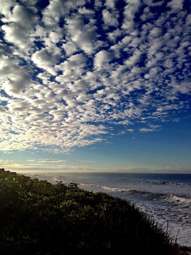 Ocean Vista Point - Ocean Vista Point San Simeon, CA 93452, USA
