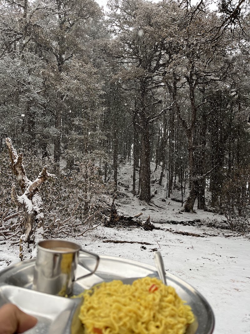 Tali Forest - Tali Forest, FHMP+QM, Kundikhola, Uttarakhand 246483, India