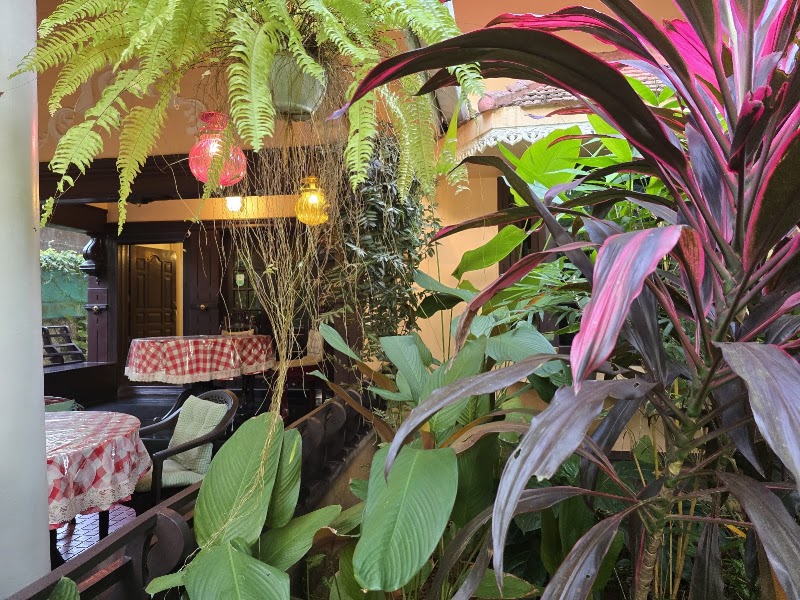 Bella Boutique Homestay - Bella Boutique Homestay Finishing Point Rd, near Nehru Trophy, P.O, Thathampally, Alappuzha, Kerala 688013, India