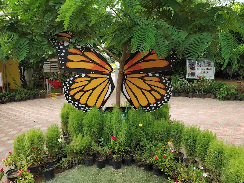 Butterfly Park Gurgaon - Butterfly Park Gurgaon Titli Park, Sector 52A, Gurugram, Haryana 122011, India