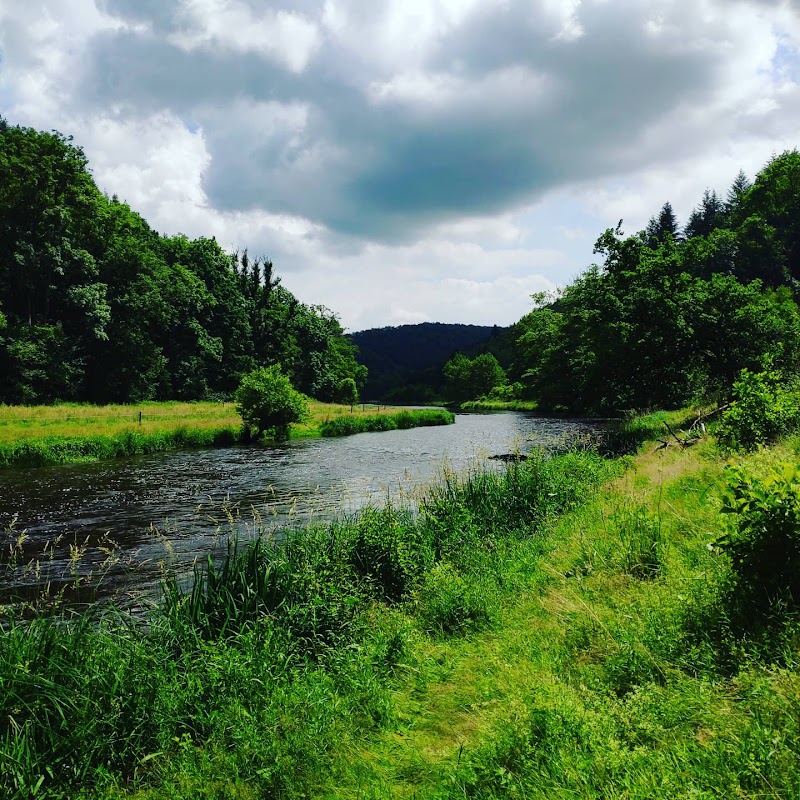 Ourthe - Ourthe, Belgium
