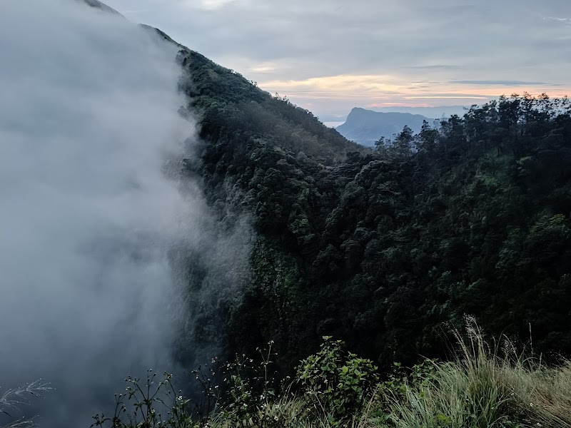 MUNNAR ADVENTURES BASE CAMP - MUNNAR ADVENTURES BASE CAMP, HML tea factory, Road, Suryanelli, Kerala 685618, India