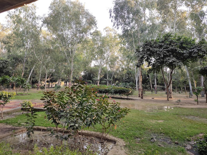 District Park I.P. Extension - District Park I.P. Extension, J8G6+C6F, Khichripur Rd, I.P.Extension, Patparganj, Delhi, 110092, India