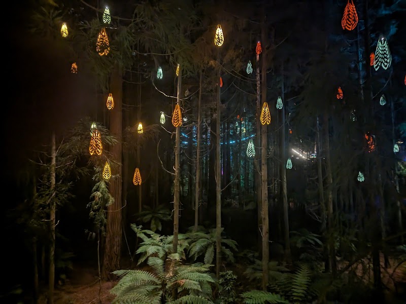Redwoods – Whakarewarewa Forest - Redwoods – Whakarewarewa Forest Whakarewarewa, Rotorua 3074, New Zealand