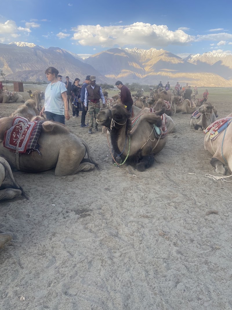 Hunder ,Nubra Leh Ladakh - Hunder ,Nubra Leh Ladakh HFHM+F4P, Hunder, 194401