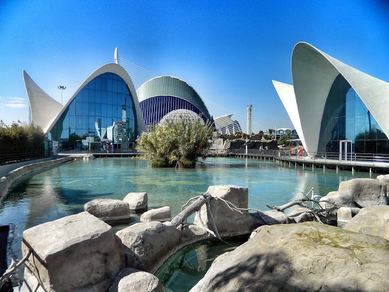 Oceanogràfic València - Oceanogràfic València, C/ d'Eduardo Primo Yúfera, 1, Quatre Carreres, 46013 València, Valencia, Spain