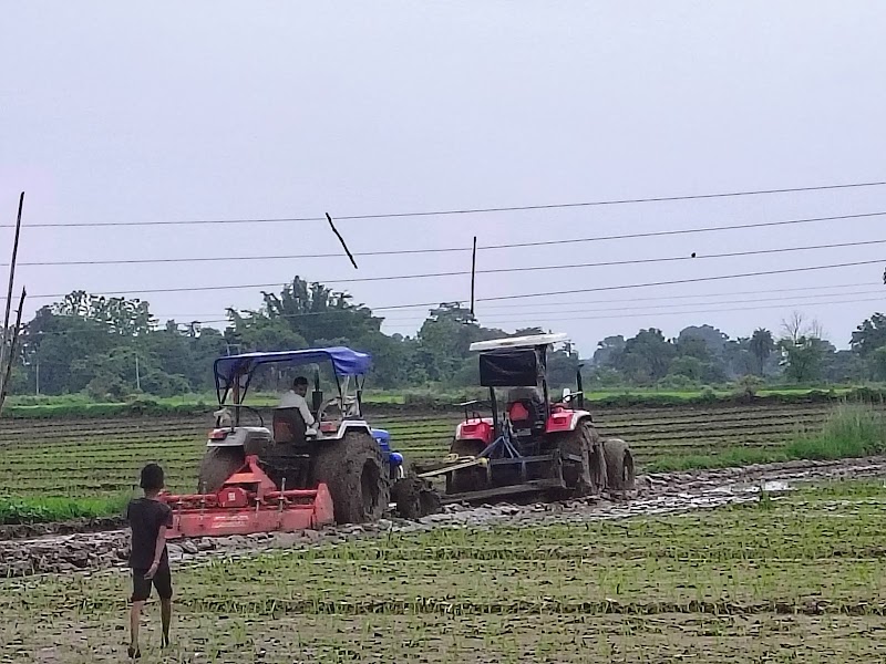 Choure Rice Mill - Choure Rice Mill 325J+77V, Ranipur, Madhya Pradesh 460443, India