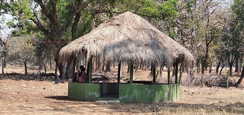 Madai - Madai Madai, Madhya Pradesh 461771, India